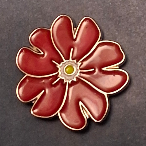 National trust pin badge - trust,