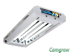 Lightwave fluorescent light - lightwave,