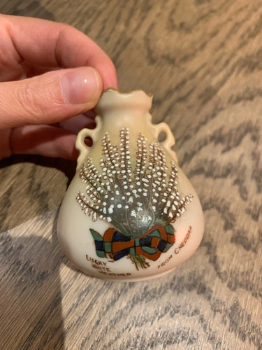 Lucky white heather pot - lucky,
