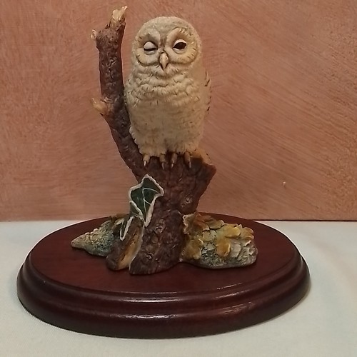 Border fine arts - border, owlet"
