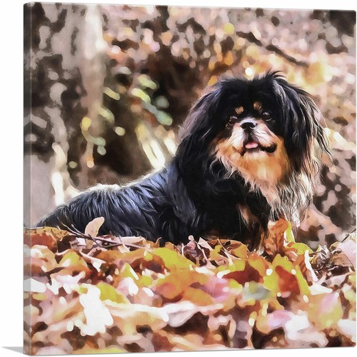 Artcanvas tibetan spaniel - tibetan, dog
