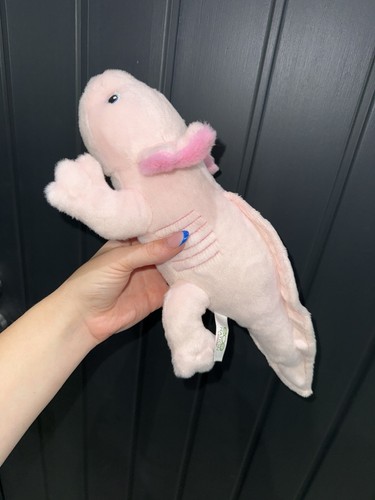 Eco nation axolotl - eco,
