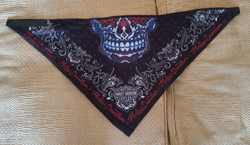 Harley davidson american - harley-davidson,