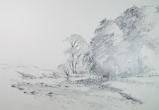 Original pencil drawing - pencil,
