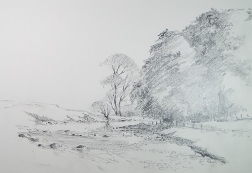 Original pencil drawing - pencil,