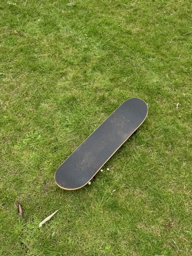 Tony hawk roar series - hawk,