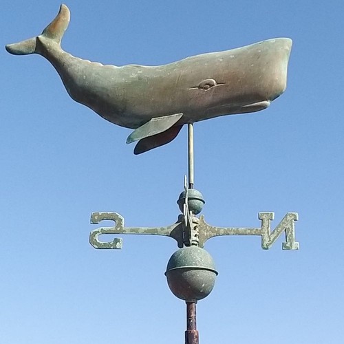 Large genuine verdigris whale - verdigris,