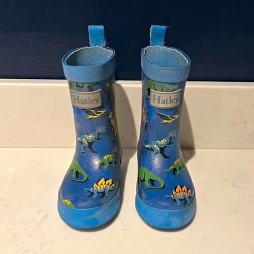 Hatley blue dinosaur kids - hatley,