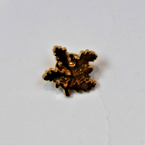 National trust gold tone pin - national,