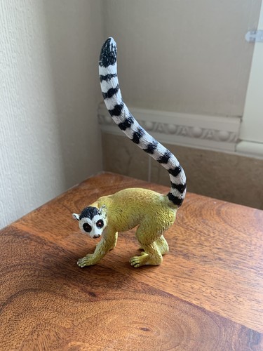 Aaa elc ring tailed - ring,
