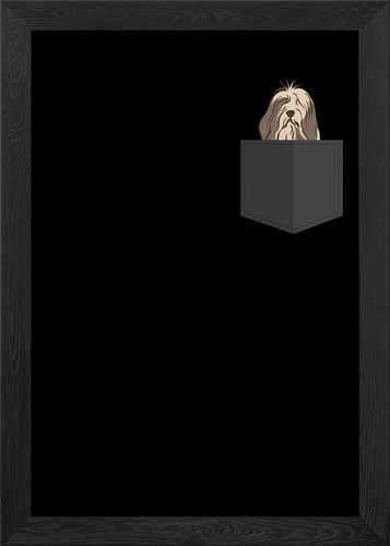 Bearded collie pocket framed - bearded,