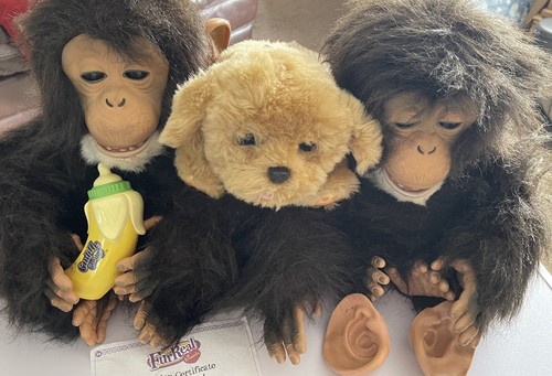 Furreal cuddle monkey plus - furreal, x