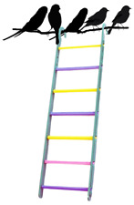 Plastic Seven 7 Rung Ladder