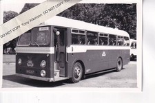 WESTERN WELSH - LEYLAND /