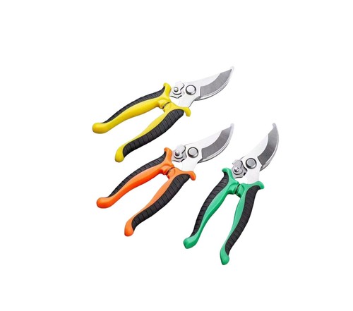 Shears secateurs pruning - shears,
