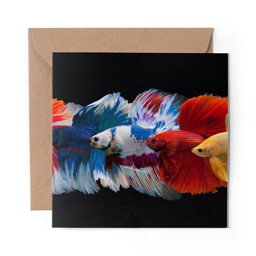 Blank greeting card - x,