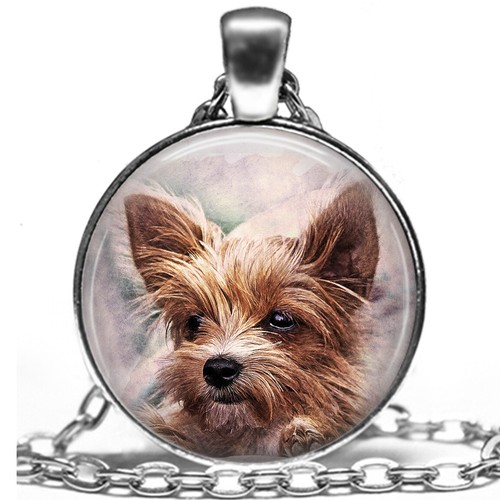 Nostalgic charm yorkie puppy - yorkie,