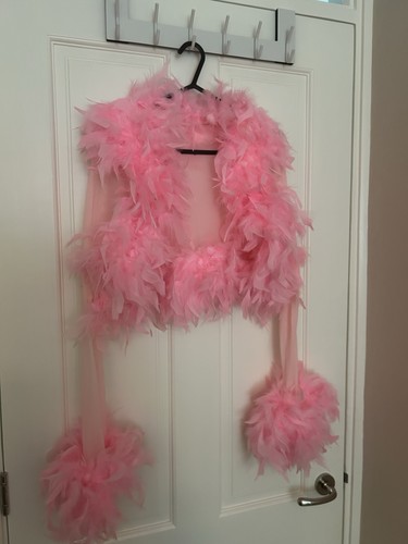 Pink feathered sheer bolero