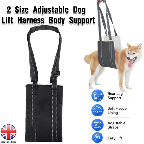 Large dog mobility aids - large,
