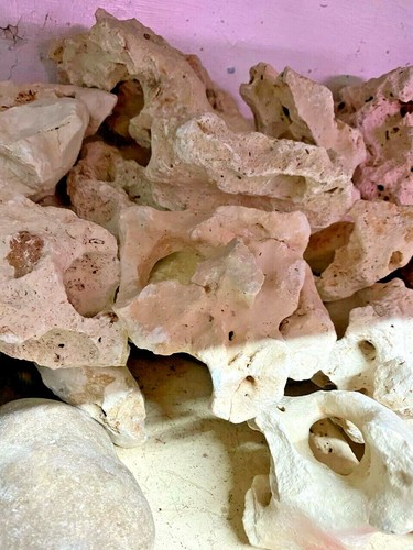 Aquarium rock stone - aquarium, tank