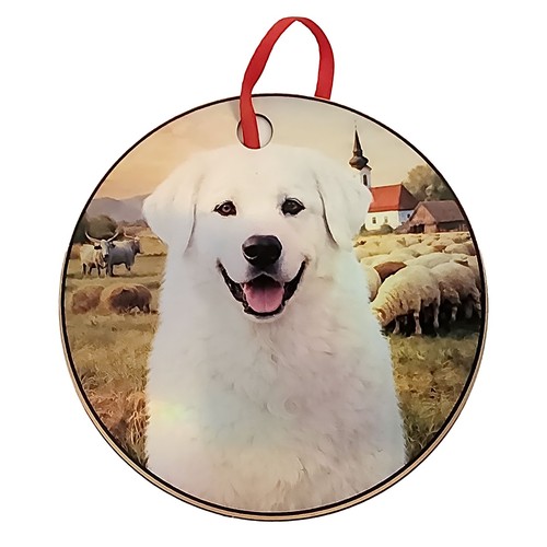 Kuvasz head design - head,