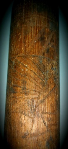 Nez perce columbia - nez,