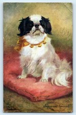 POSTCARD JAPANESE SPANIEL ARTIST N. DRUMMOND 1920 RAPHAEL TUCK & SONS