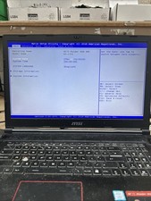 MSI GE73 Raider RGB 8RE Gaming