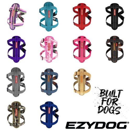 Chest plate dog - plate,
