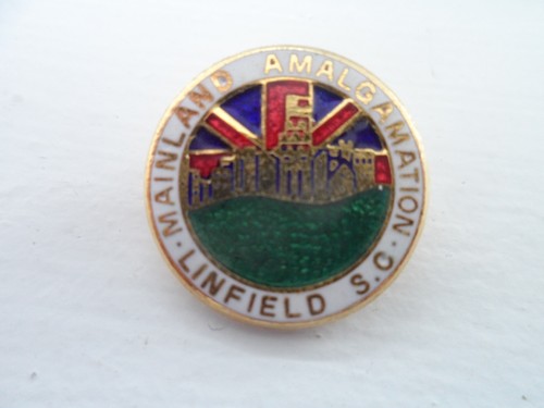 Linfield football supporters - linfield,