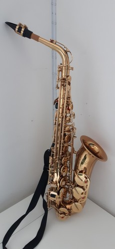 Elkhart alto saxophone - elkhart,