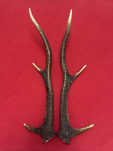 Pair red deer antlers - of, 666g