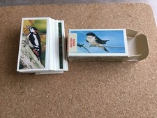 CIGARETTE CARDS Craven Black Cat Carreras 1976 British Birds- set of 50. Boxed