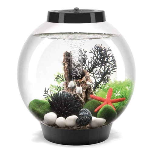 Biorb classic aquarium fish - biorb, 15