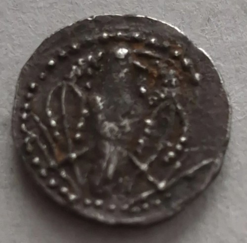 Very rare anglo - rare,