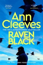 Raven Black: The First Novel