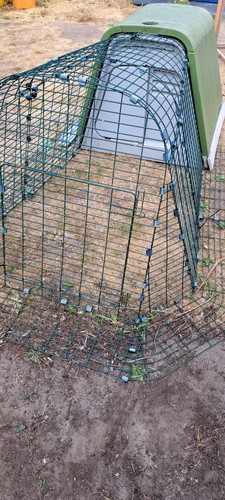 Omlet eglu green - omlet, green/grey