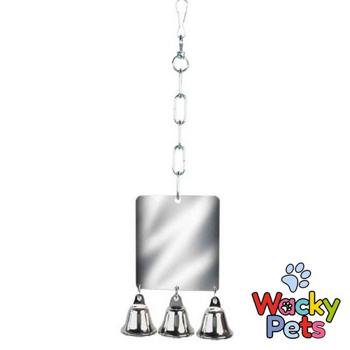 Bird toy large mirror - bird, and