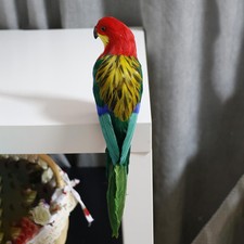 Feather Parrot Macaw Art
