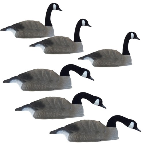 Canada goose decoy shell - decoy, x6