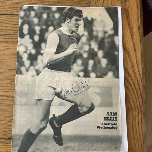 Sam ellis sheffield wednesday - sam,
