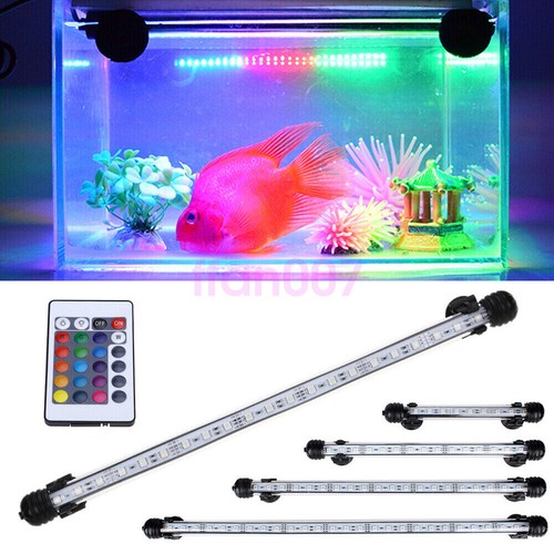 Aquarium fish tank - fish, 5050
