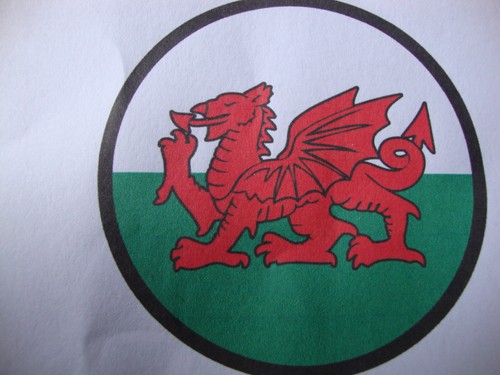 Welsh dragon stickers - ,