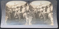 ENTRENCHED HIGHLANDER SCOTTS