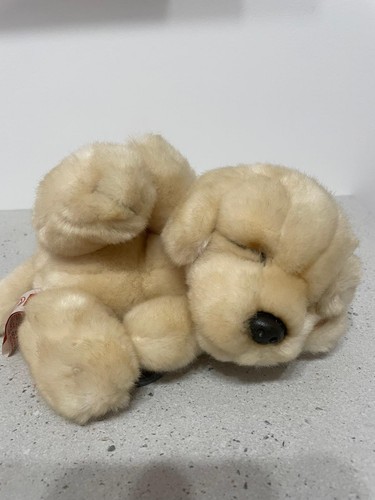 Sleeping labrador puppy - puppy, soft