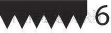 TRISCAN V-Ribbed Belt Black