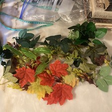 Job lot leaves and foliage