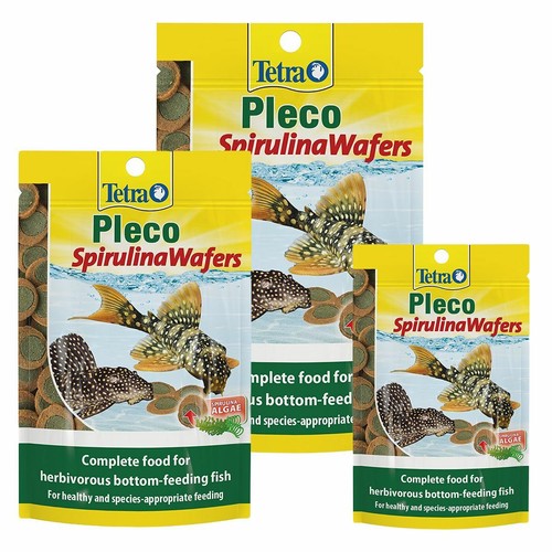 Tetra pleco algae - pleco, multi