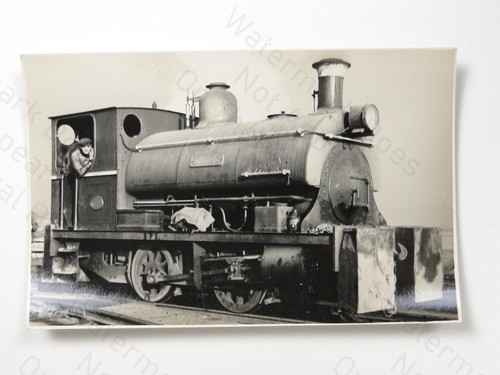 Viking steam locomotive - viking,