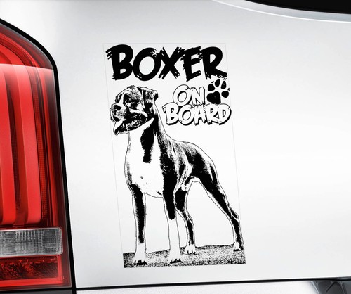 Boxer dog car - -, window